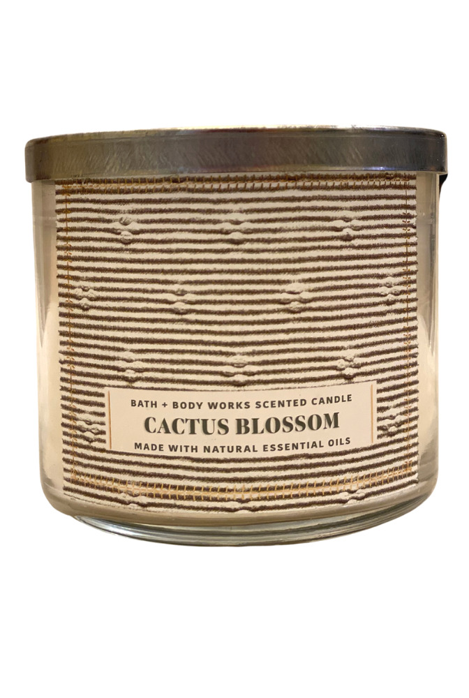 Bath & Body Works Cactus Blossom Single Wick Candle, Candles & Home  Fragrance, Household